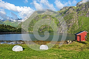 Grassland with baled hay and reg wooden hut in the border of the Higravfjorden in Aestvagoya island of Lofoten Archipeelago.