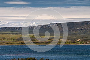 Grassland behind Otway Sound at Posada Estancia Rio Verde, Riesco Island,, Chile