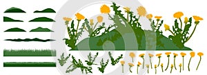 Grassland, constructor kit. Beautiful dandelion flowers, grass. Collection of element for create spring meadow. Vector