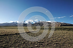 grassland and distant snow mountains