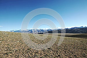 grassland and distant snow mountains1