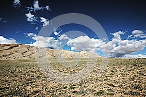 grassland and distant snow mountains2