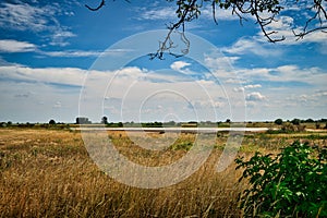 grassland with dry salt lake, bushes and branches in pannonian national reserve park