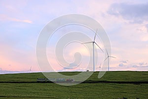 Grassland evening scenery