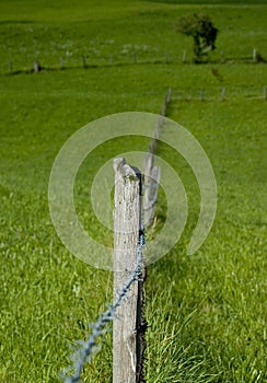 Grassland fence