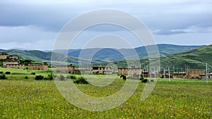 Grassland and flower under cloudy sky