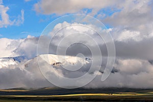 Grassland at the foot of Snow Mountain