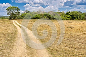 Grassland and Forest, Kaudulla National Park, Sri Lanka