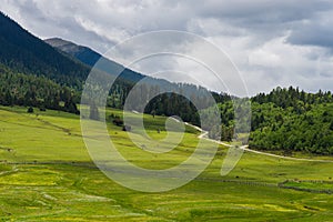 Grassland, Forests, and Mountains in Lunang, Nyingchi, Tibet Autonomous Region