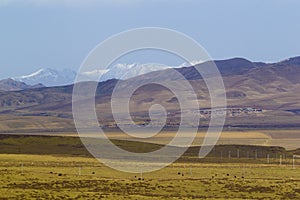 Grassland in gansu china