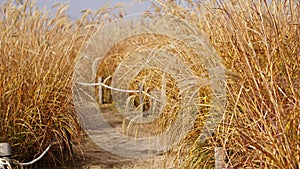 A part view of Grassland at Haneul Park photo