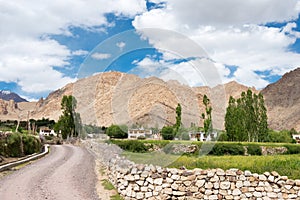 Grassland at Hemis Shukpachan Village in Sham Valley, Ladakh, Jammu and Kashmir, India