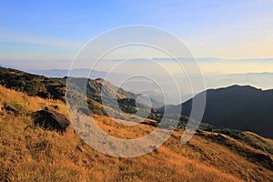 The grassland on the hills in the morning