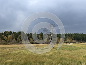Grassland of Inner Mongolia, China