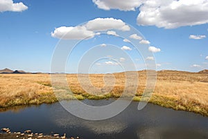 Grassland and lake