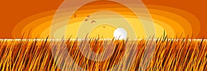 Grassland meadow in setting sun of evening sundown scenic tranquil and calm landscape vector illustration, forget about all the