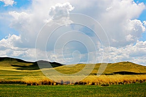 Grassland in Nailin Guole