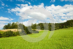 Grassland,nature background