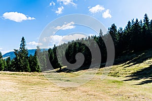 Grassland near the Rusty Pit Groapa Ruginoasa