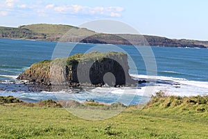 Grassland near the sea with rocky cliff, and mountain in the background on a sunny day