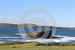 Grassland near the sea with rocky cliff, and mountain in the background on a sunny day