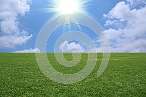 Grassland scenery photo