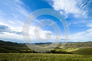 Grassland scenery