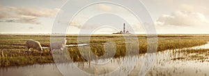 Grassland with sheep and a lighthouse at the North Sea