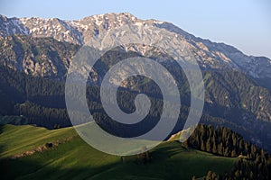 Grassland with snow mountains