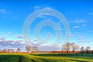 A grassland in a typical dutch landscape at sunset