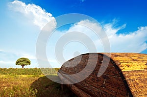 Grassland under blue sky
