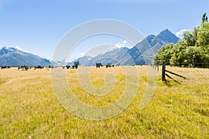 Grassland valley and Southern Alps, New Zealand.