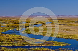 Grassland and wetland