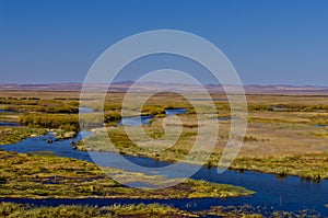 Grassland and wetland