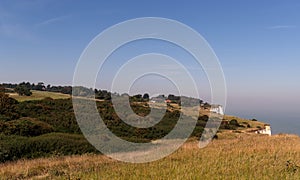 Grassland on the white cliffs of Dover, UK