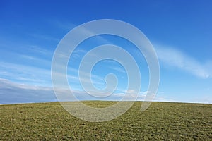 Grassland with white clouds