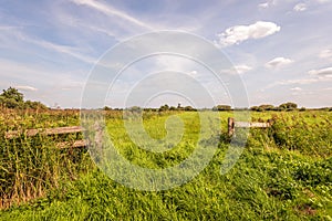 Grassland with a wooden fence in the foreground