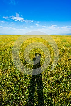 Grassland in Xinjiang,China