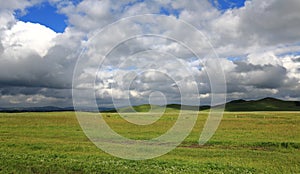 Grasslands in Inner Mongolia China