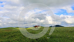 Grasslands in Inner Mongolia China