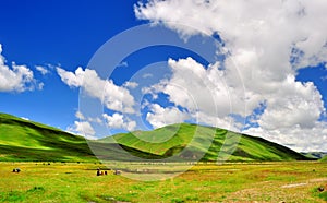 Grasslands and mountains