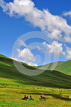 Grasslands and mountains