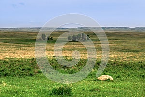 Grasslands National Park