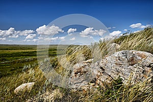 Grasslands National Park