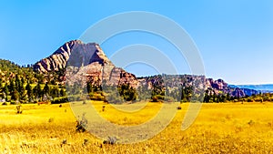 The Grasslands and Pine Valley Peak on the Kolob Plateau in Zion National Park, Utah, United States