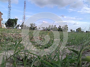 Grasslevel