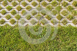 Grassstones as demarcation photo