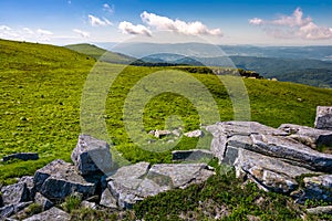 Grassy alpine meadow of Polonina Runa