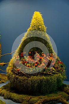 Grassy chair with flowers