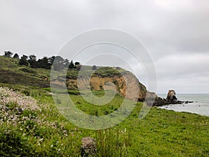Grassy Coastal Hiking Trailed Filled with Wildflowers, Plants, and Trees Overlooking Rockaway Beach, Pacifica, California photo